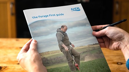 The forage first guide front cover