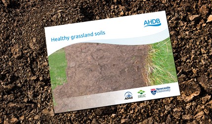 Healthy Grassland Soils Front Cover
