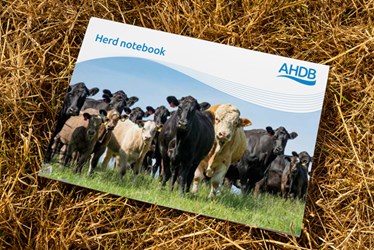 Herd notebook front cover