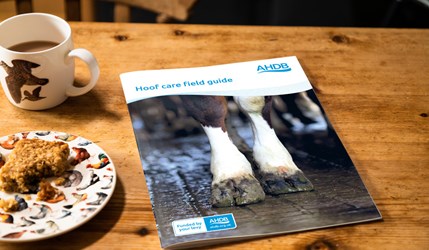 Hoof care field guide on table top