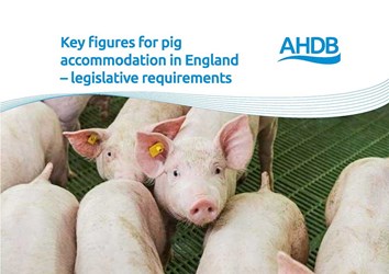 Key figures for pig accommodation in England – legislative requirements