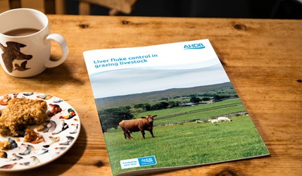 Liver fluke control in grazing livestock