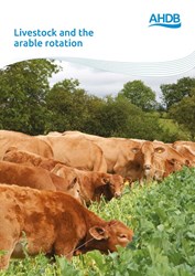 Livestock and the arable rotation | AHDB