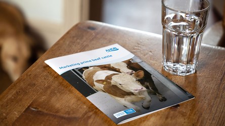 Marketing Prime Beef Frontcover