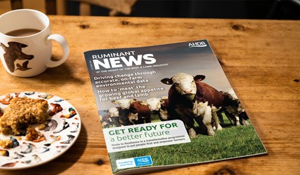 Ruminant News Frontcover