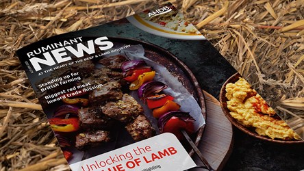 The latest edition of Ruminant News magazine.