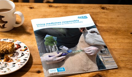 Using medicines responsibly