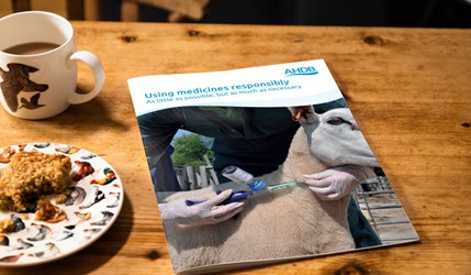 Using Medicines Responsibly publication on table top