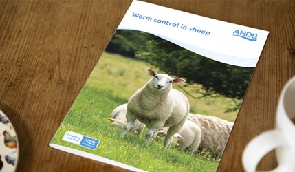 Worm control in sheep guide cover