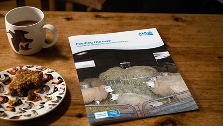 Feeding the Ewe publication front cover