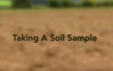 Taking A Soil Sample.