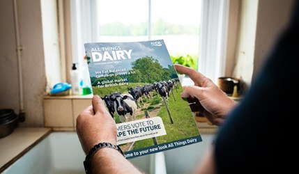 All Things Dairy Summer 2022 listing image