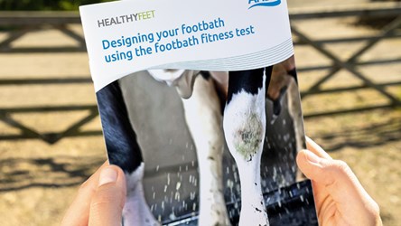 HEALTHYFEET. Designing your footbath.
