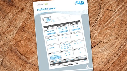 Mobility score pad | AHDB