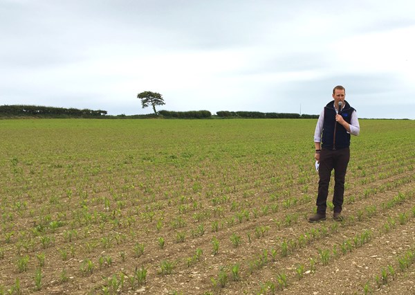 Downpatrick Monitor Farm launch meeting