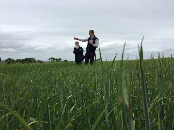 Downpatrick Monitor Farm launch meeting