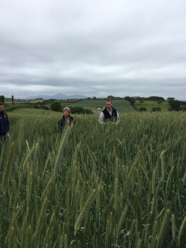 Downpatrick Monitor Farm launch meeting