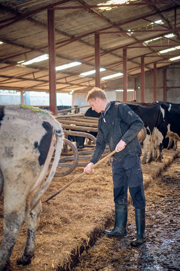 Cockhaise Farm | AHDB