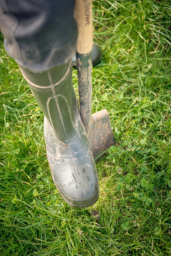 Cockhaise Farm | AHDB